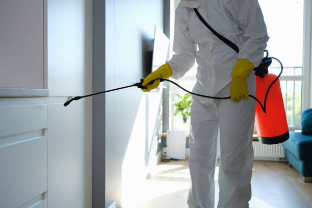 Professional Mold Removal in Commerce, GA