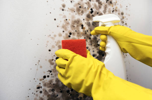 Water Damage Restoration in Commerce, GA